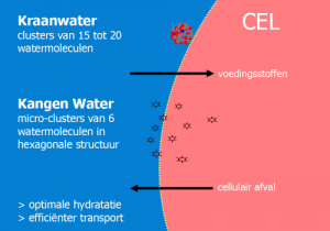 Kangen Water draagt bij aan en optimale hydratatie