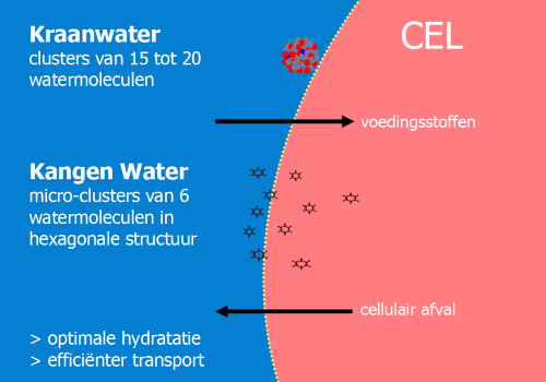 Micro geclusterde Kangen Water moleculen